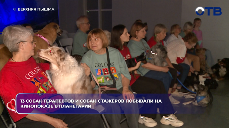 13 собак-терапевтов и собак-стажёров побывали на кинопоказе в планетарии
