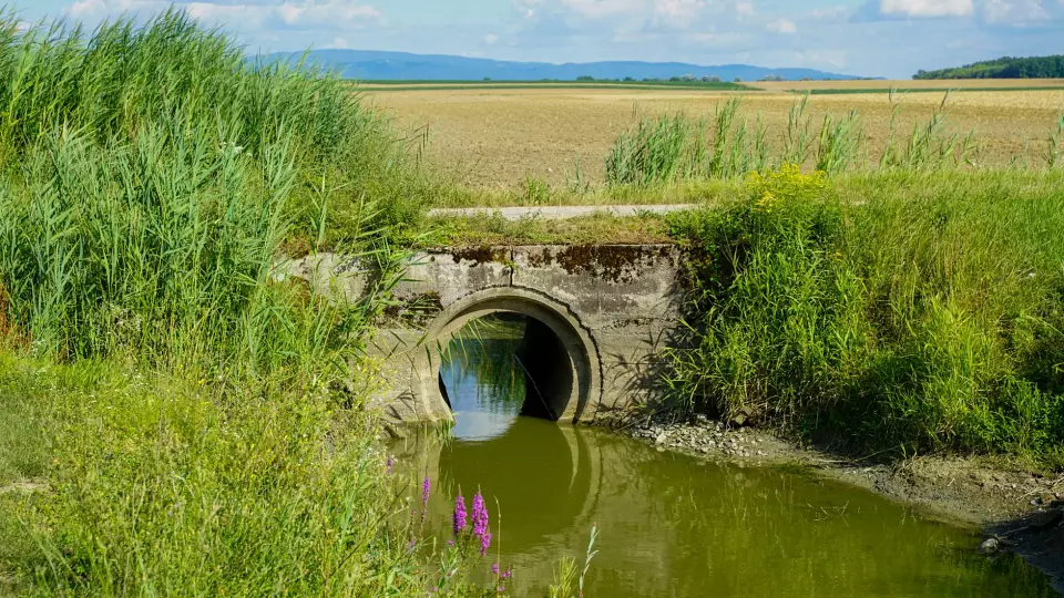 В Тюменской области пассажир авто утонул в кювете с водой