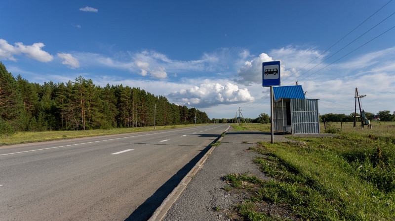 Против жителя Богородицка возбудили дело за езду с привязанной к авто собакой