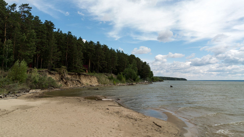 Более 24 тысяч мальков сазана выпустили в уральские водоёмы