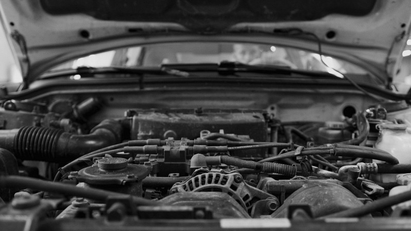 Крысы атакуют автомобили россиян в холода