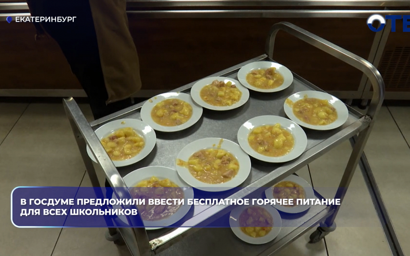 В Госдуме предложили ввести бесплатное горячее питание для всех школьников