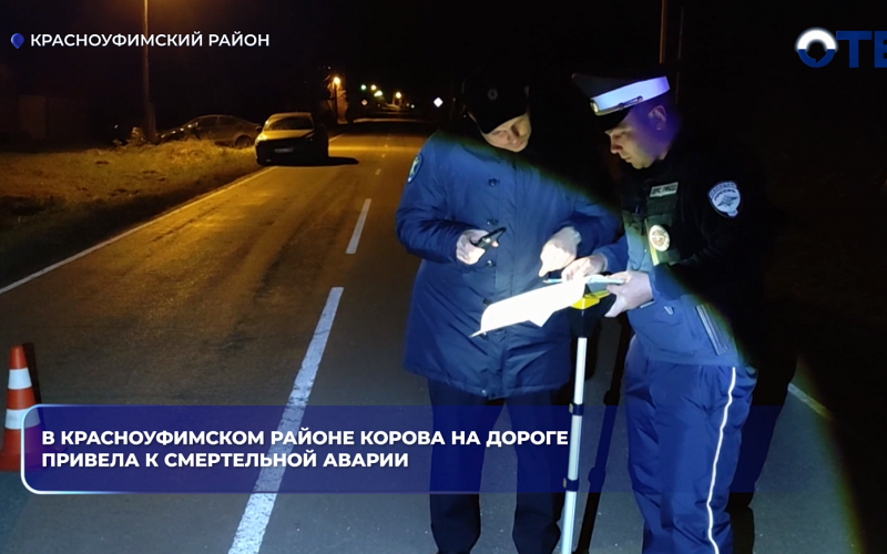 В Красноуфимском районе корова на дороге привела к смертельной аварии