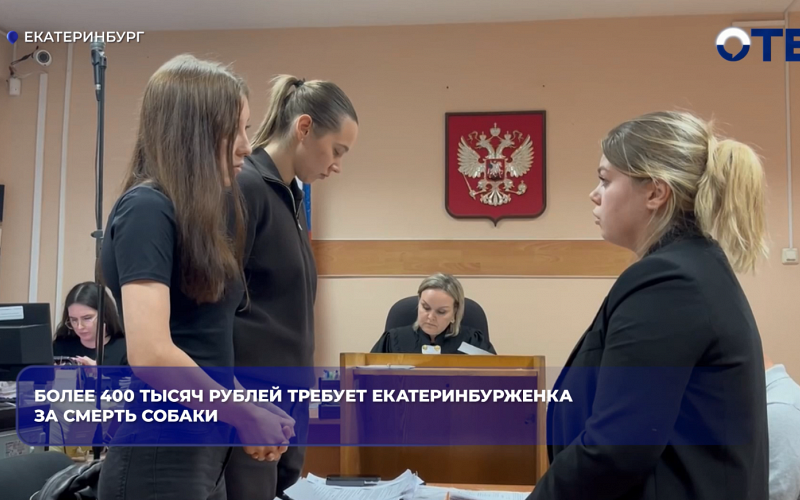 Более 400 тысяч рублей требует екатеринбурженка за смерть собаки